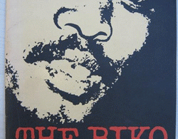 the-biko-inquest